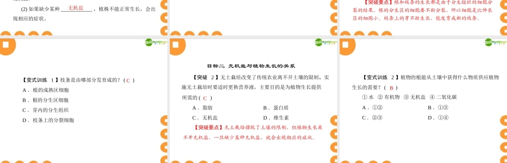 (随堂优化训练)七年级生物上册 第三单元 第二章 第二节 植株的生长配套课件 人教新课标版 课件