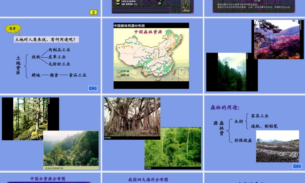 七年级地理自然资源总量丰富 人均不足课件1 鲁教版 课件