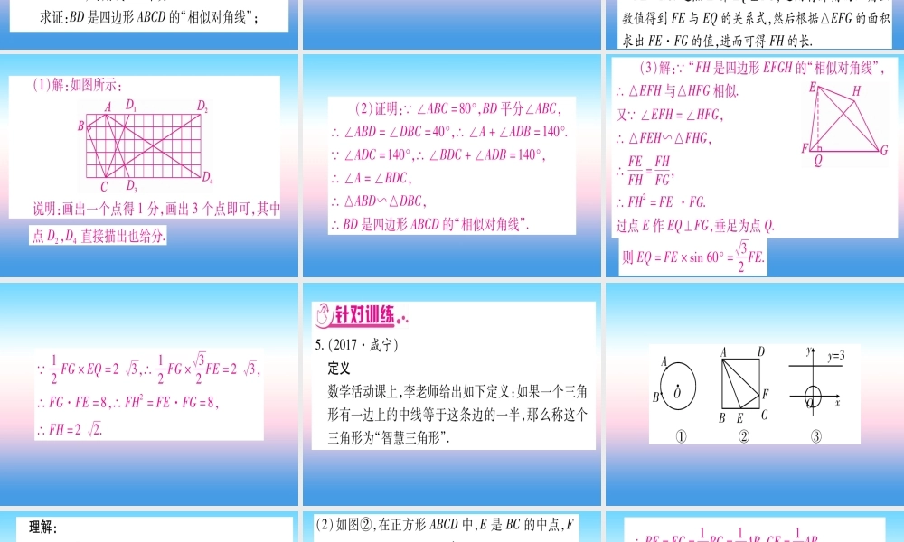 (湖北专版)中考数学总复习 第3轮 压轴题突破 解答题压轴题突破 重难点突破3 几何类比探究题 类型2 新定义问题习题课件