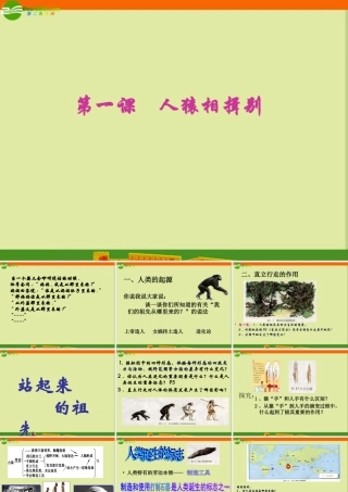 七年级历史上册 第一课之(人猿相揖别)课件 北师大版 课件