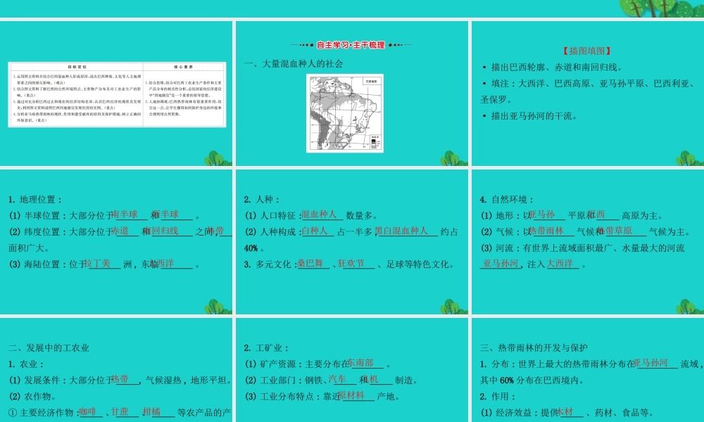 七年级地理下册 第九章 第二节巴西习题课件(新版)新人教版 课件