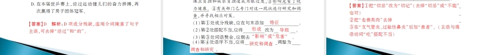 中考语文 第一部分 第二章 语言综合运用 第二节考点详解精练(4) 配套课件 人教新课标版 课件