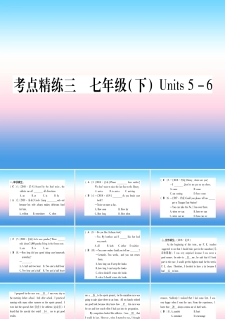 中考英语准点备考 第一部分 教材系统复习 考点精练三 七下 Units 5 6课件
