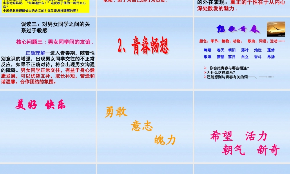 七年级政治上册 第四课第二框感悟青春课件 人教新课标版 课件