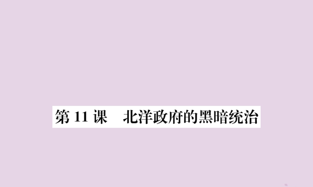 (河南专版)八年级历史上册 第三单元 资产阶级民主革命与中华民国的建立 第11课 北洋政府的黑暗统治课件 新人教版 课件