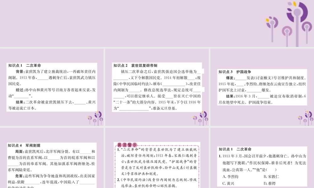(河南专版)八年级历史上册 第三单元 资产阶级民主革命与中华民国的建立 第11课 北洋政府的黑暗统治课件 新人教版 课件