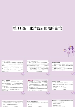 (河南专版)八年级历史上册 第三单元 资产阶级民主革命与中华民国的建立 第11课 北洋政府的黑暗统治课件 新人教版 课件