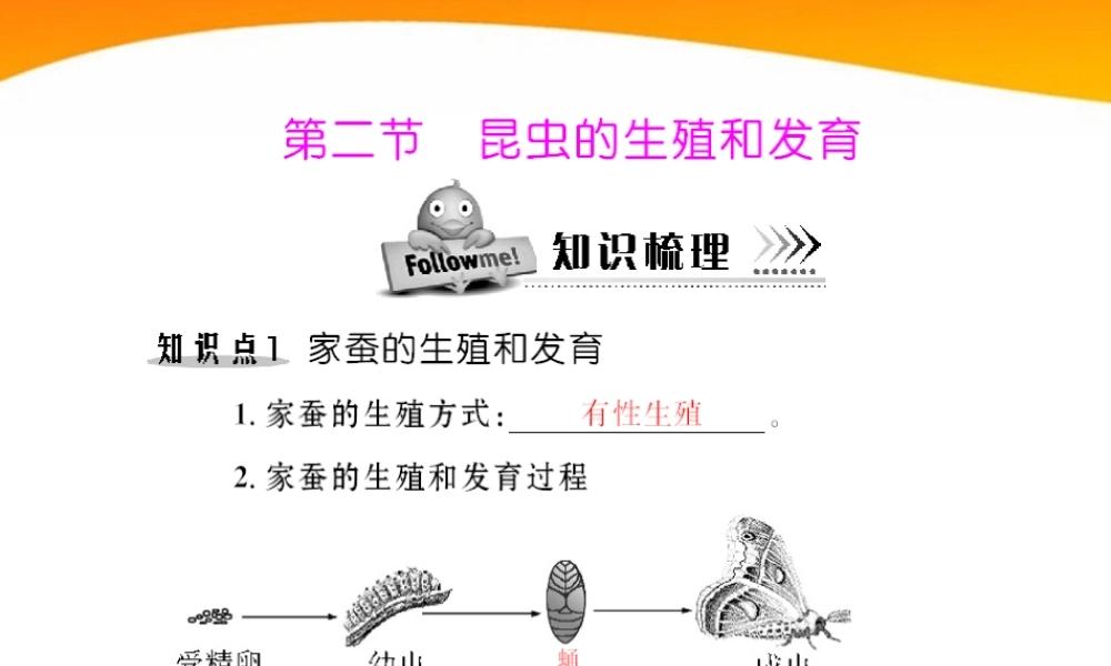 (随堂优化训练)八年级生物下册 第七单元 第一章 第二节 昆虫的生殖和发育 配套课件 人教新课标版 课件
