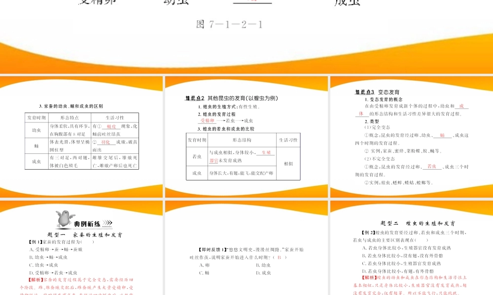 (随堂优化训练)八年级生物下册 第七单元 第一章 第二节 昆虫的生殖和发育 配套课件 人教新课标版 课件