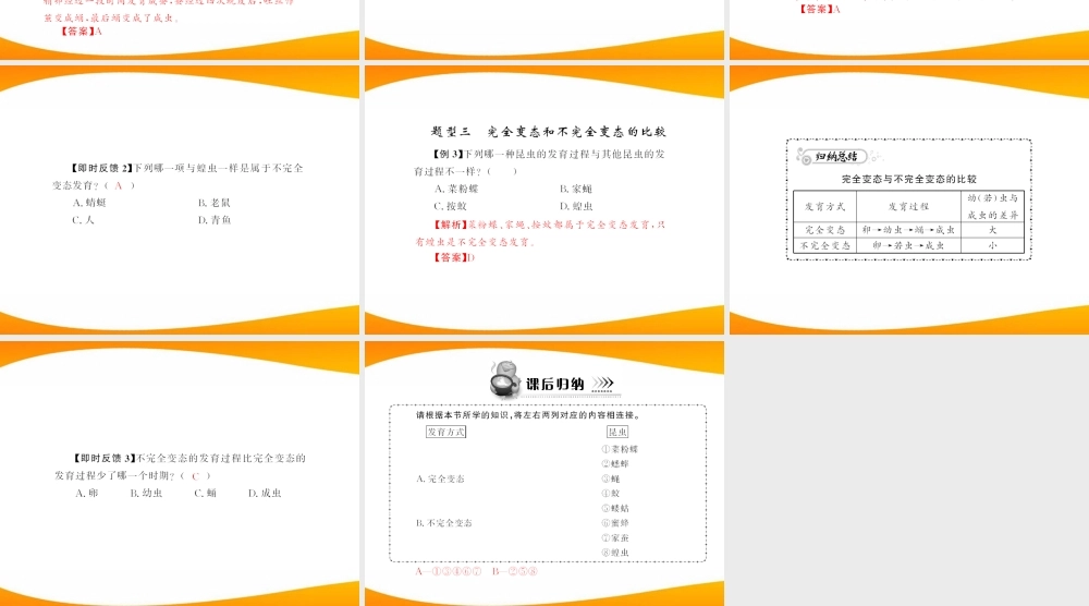 (随堂优化训练)八年级生物下册 第七单元 第一章 第二节 昆虫的生殖和发育 配套课件 人教新课标版 课件