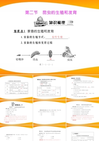 (随堂优化训练)八年级生物下册 第七单元 第一章 第二节 昆虫的生殖和发育 配套课件 人教新课标版 课件