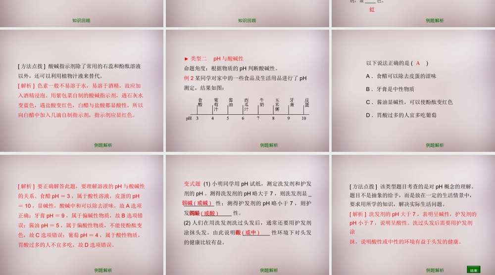 九年级化学下册 第11章 第1节(对酸碱的初步认识)复习课件 (新版)北京课改版 课件