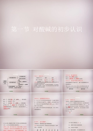 九年级化学下册 第11章 第1节(对酸碱的初步认识)复习课件 (新版)北京课改版 课件