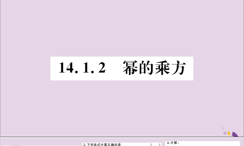 (河北专版)八年级数学上册 14.1 整式的乘法 14.1.2 幂的乘方习题课件 (新版)新人教版 课件