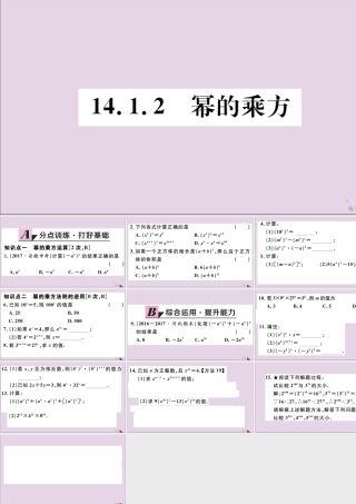 (河北专版)八年级数学上册 14.1 整式的乘法 14.1.2 幂的乘方习题课件 (新版)新人教版 课件