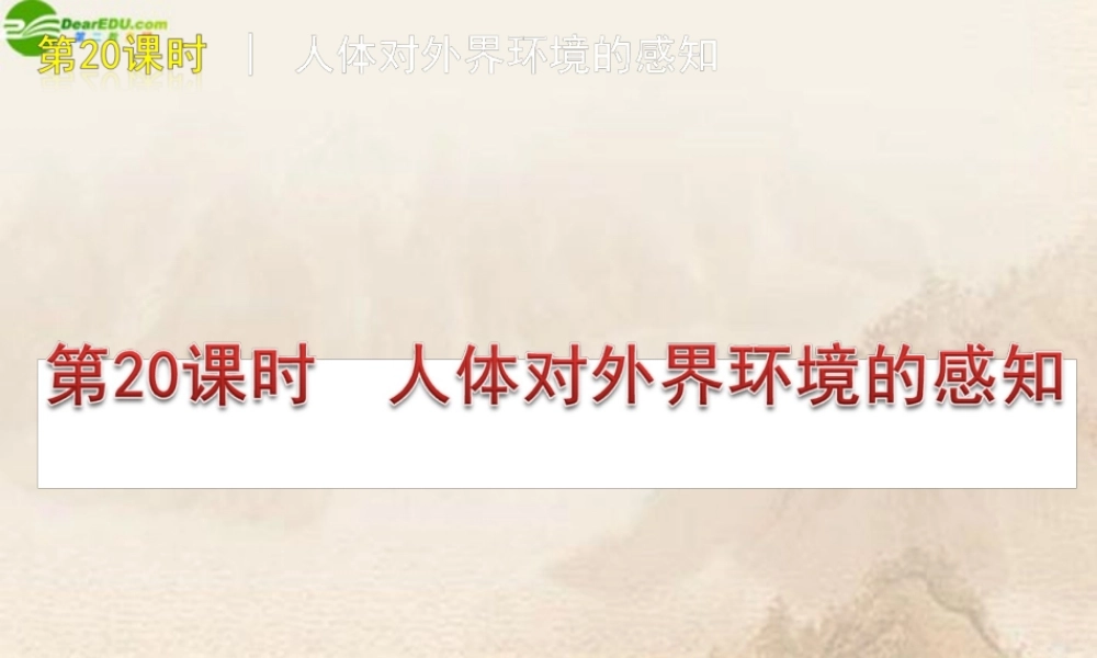 中考生物复习方案 第人体对外界环境的感知课件 人教新课标版 课件