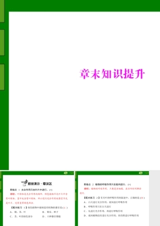(随堂优化训练)七年级生物上册 第三单元 第四章 章末知识提升配套课件 人教新课标版 课件