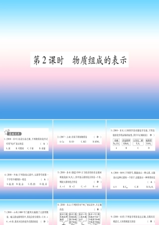 (云南专用)中考化学总复习 第1部分 教材系统复习 九上 第4单元 自然界的水 第2课时 物质组成的表示(精练)课件