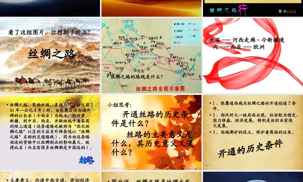 七年级历史上册 (丝绸之路)课件 华东师大版 课件