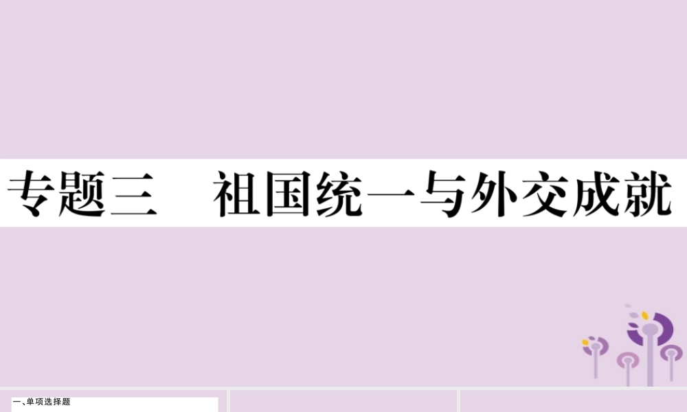 (玉林专版)八年级历史下册 专题三 祖国统一与外交成就习题课件 新人教版 课件