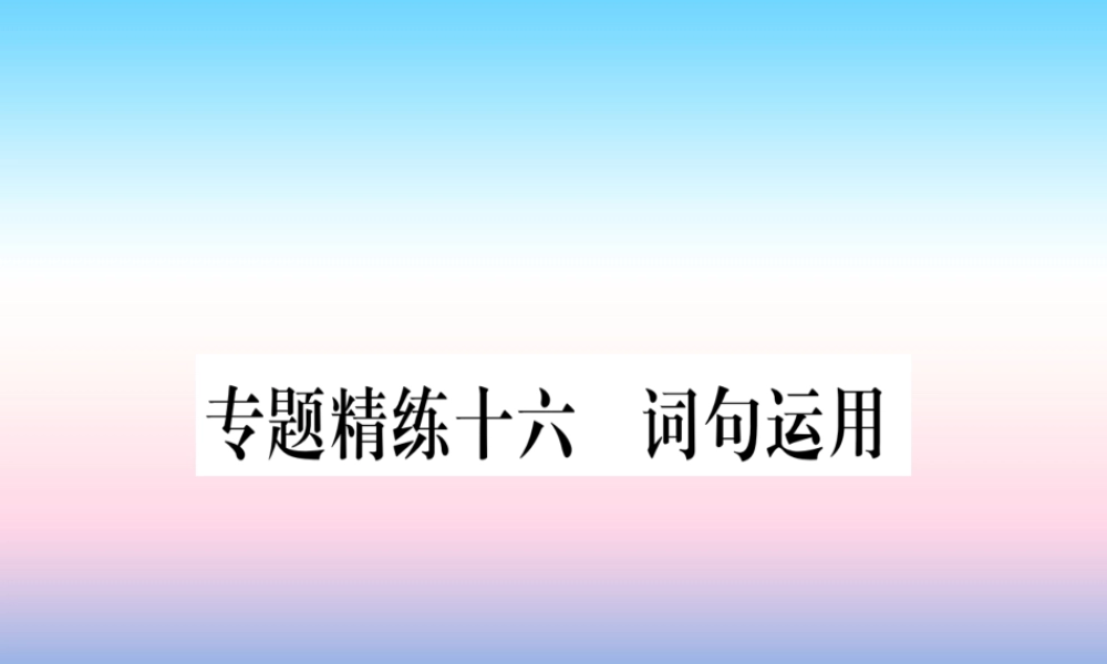 中考英语准点备考 专题精练十六 词句运用课件