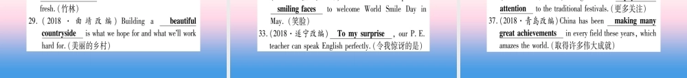 中考英语准点备考 专题精练十六 词句运用课件