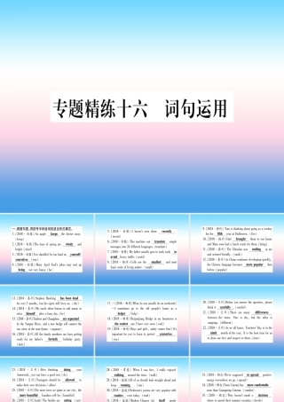 中考英语准点备考 专题精练十六 词句运用课件