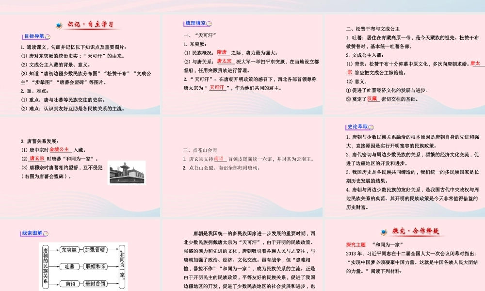 七年级历史下册 第一单元繁荣与开放的社会 第5课 和同为一家课件 北师大版 课件