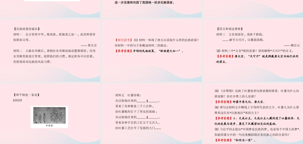 七年级历史下册 第一单元繁荣与开放的社会 第5课 和同为一家课件 北师大版 课件