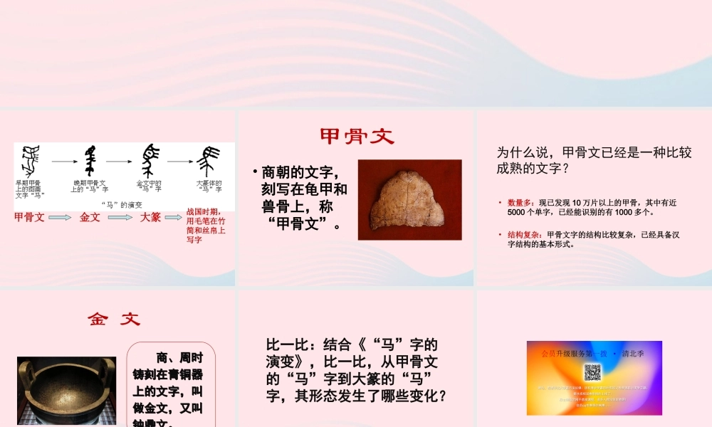 七年级历史上册 第二单元 夏商周时期：早期国家的产生与社会变革 5青铜器与甲骨文 关于文字的演变素材 新人教版 素材