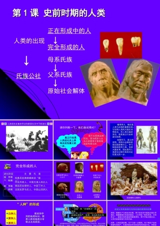 九年级历史上：第1课 史前时期的人类 课件(冀教版) 课件