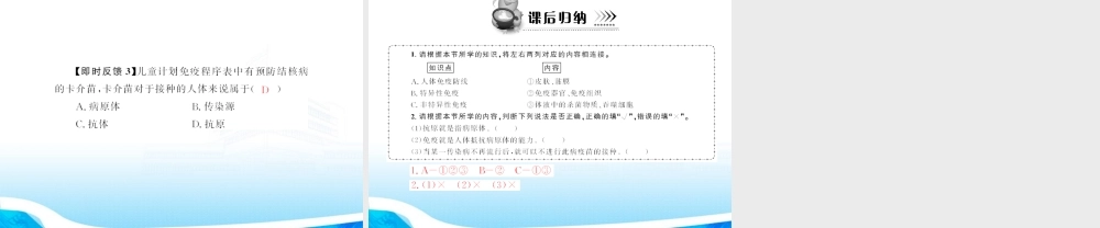 (随堂优化训练)八年级生物下册 第八单元 第一章 第二节 免疫与计划免疫 配套课件 人教新课标版 课件