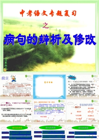 中考语文复习课件 病句的辨析及修改 课件