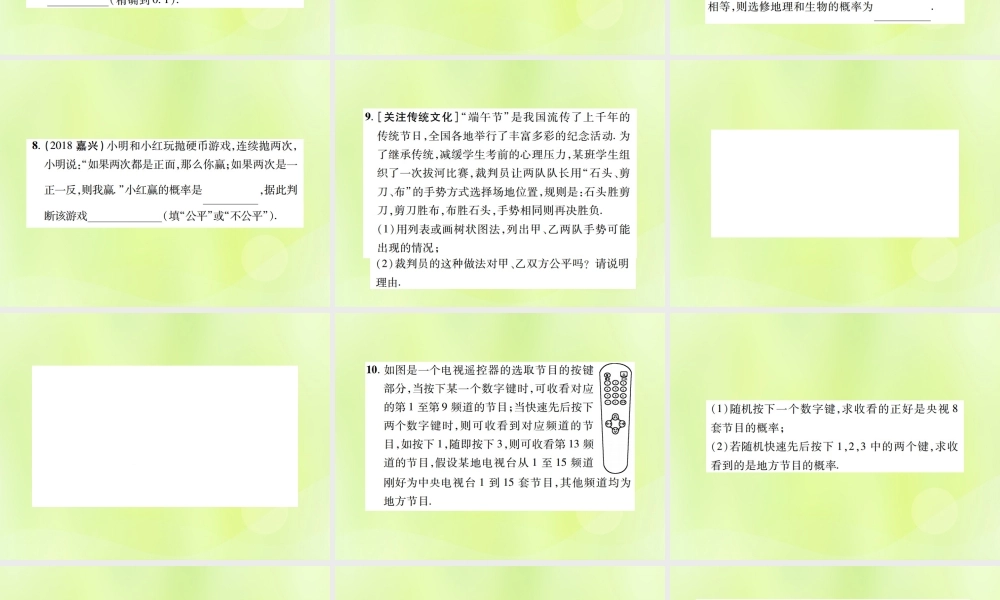 中考数学总复习 第八单元 统计与概率 第30课时 概率(高效集训本)课件