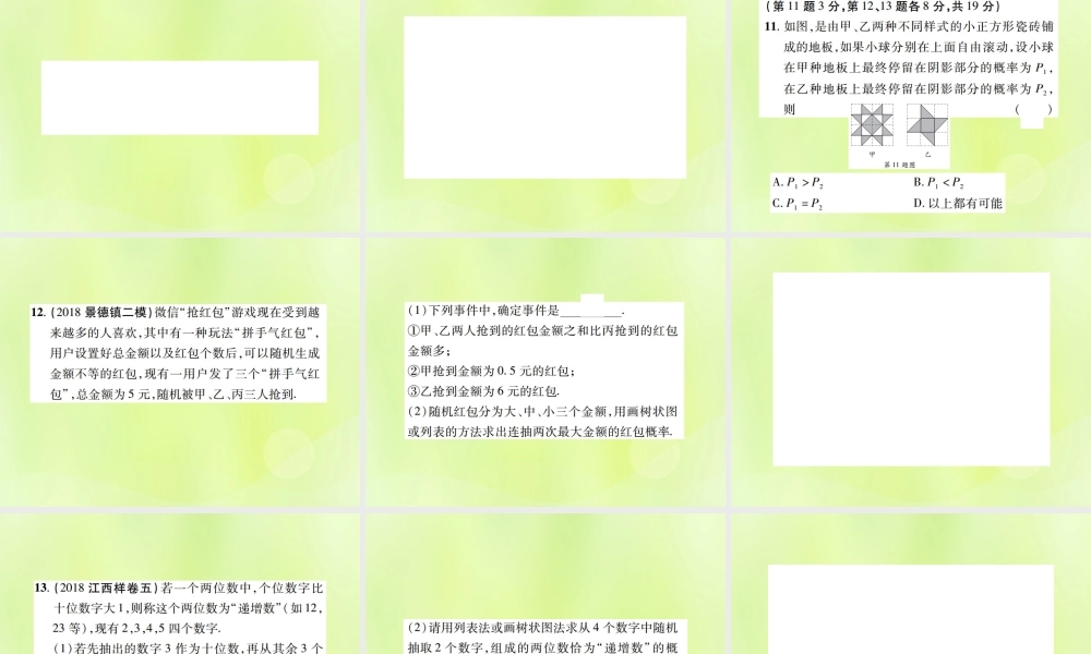 中考数学总复习 第八单元 统计与概率 第30课时 概率(高效集训本)课件