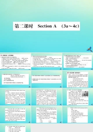 (河南专版)九年级英语全册 Unit 7 Teenagers should be allowed to choose their own clothes(第2课时)习题课件 (新版)人教新目标版 课件