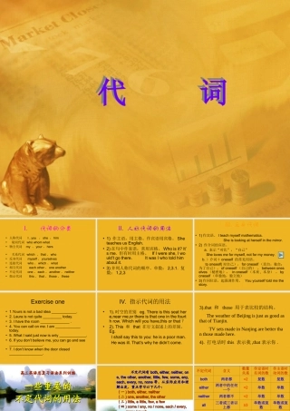 中考英语语法考点专题复习3 代词课件5 课件