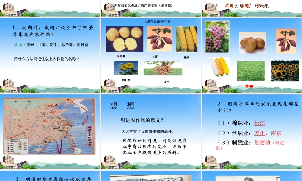 七年级历史下册 经济的发展与 闭关锁国 课件 人教新课标版 课件