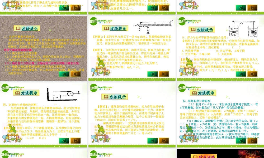 中考物理 复习之简单机械 课件