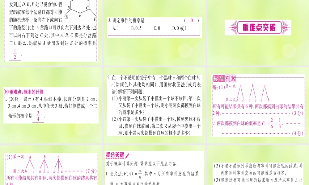 (湖北专用版)版中考数学优化复习 第8章 统计与概率 第2节 概率实用课件