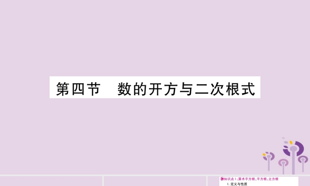 中考数学复习 第一轮 考点系统复习 第1章 数与式 第4节 数的开方与二次根式导学课件