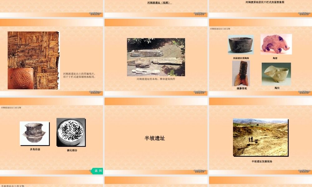 七年级历史原始农耕文化的遗存课件 人教版 课件