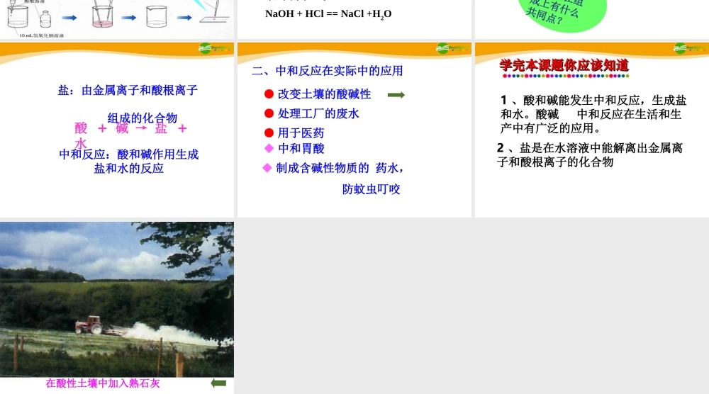 九年级化学 中和反应及其应用课件 鲁教版 课件