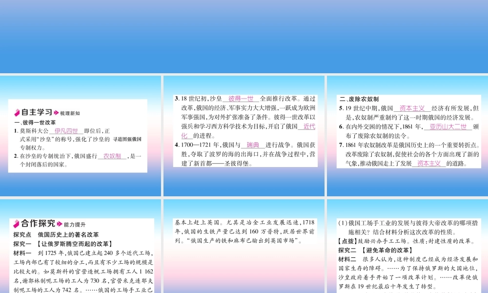 九年级历史下册 第1单元 殖民地人民的反抗与资本主义制度的扩展 第2课 俄国的改革自主学习课件 新人教版 课件