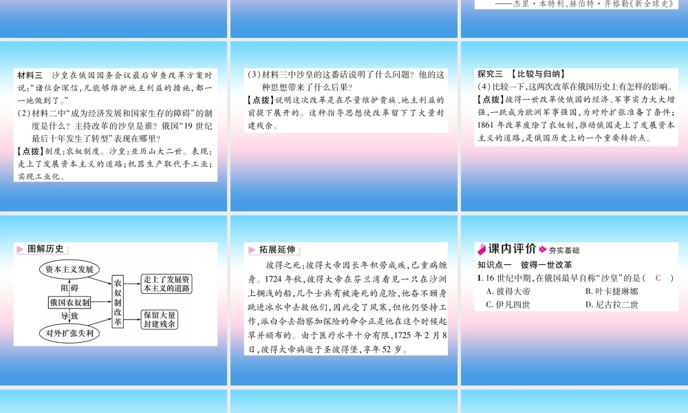 九年级历史下册 第1单元 殖民地人民的反抗与资本主义制度的扩展 第2课 俄国的改革自主学习课件 新人教版 课件