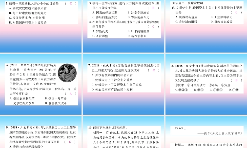 九年级历史下册 第1单元 殖民地人民的反抗与资本主义制度的扩展 第2课 俄国的改革自主学习课件 新人教版 课件