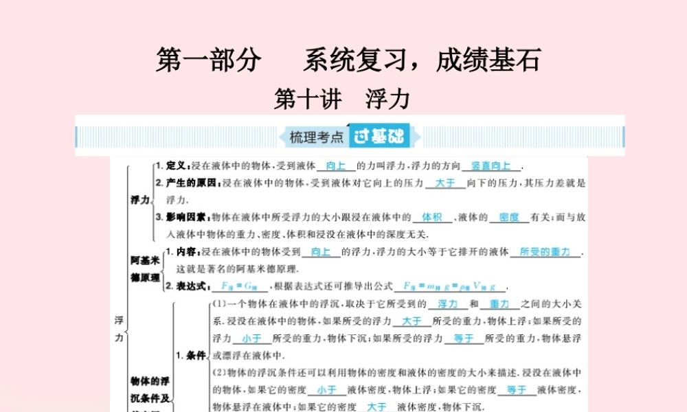 中考物理总复习 八下 第10讲 浮力课件