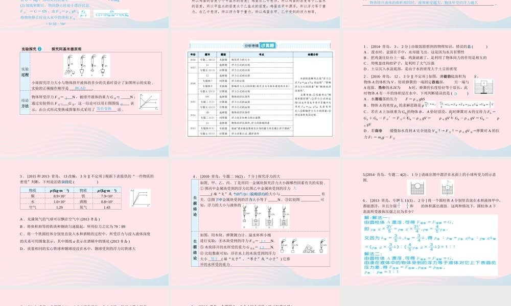 中考物理总复习 八下 第10讲 浮力课件