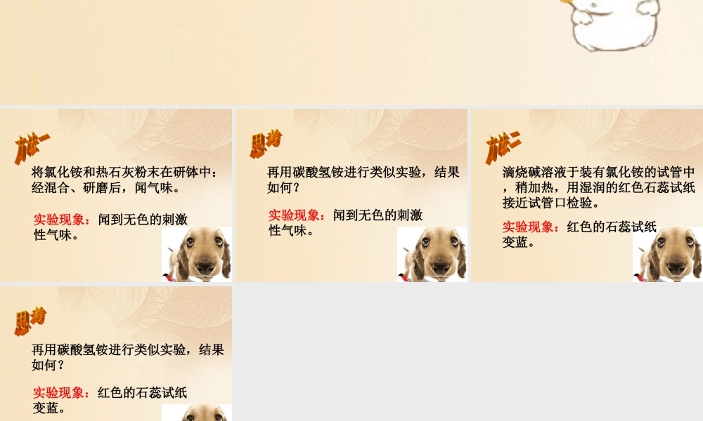 九年级化学下册 85 化学肥料 观察活动 检验铵态氮肥的方法素材 (新版)粤教版 素材