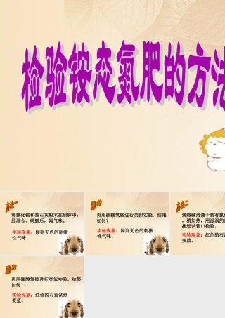 九年级化学下册 85 化学肥料 观察活动 检验铵态氮肥的方法素材 (新版)粤教版 素材